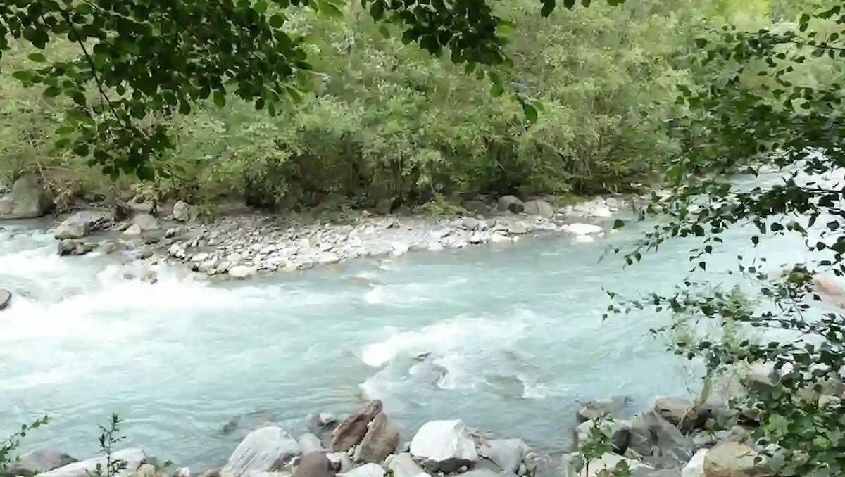 Il cadavere di un uomo ritrovato impigliato in un albero sull’Adige: indagini in corso - 