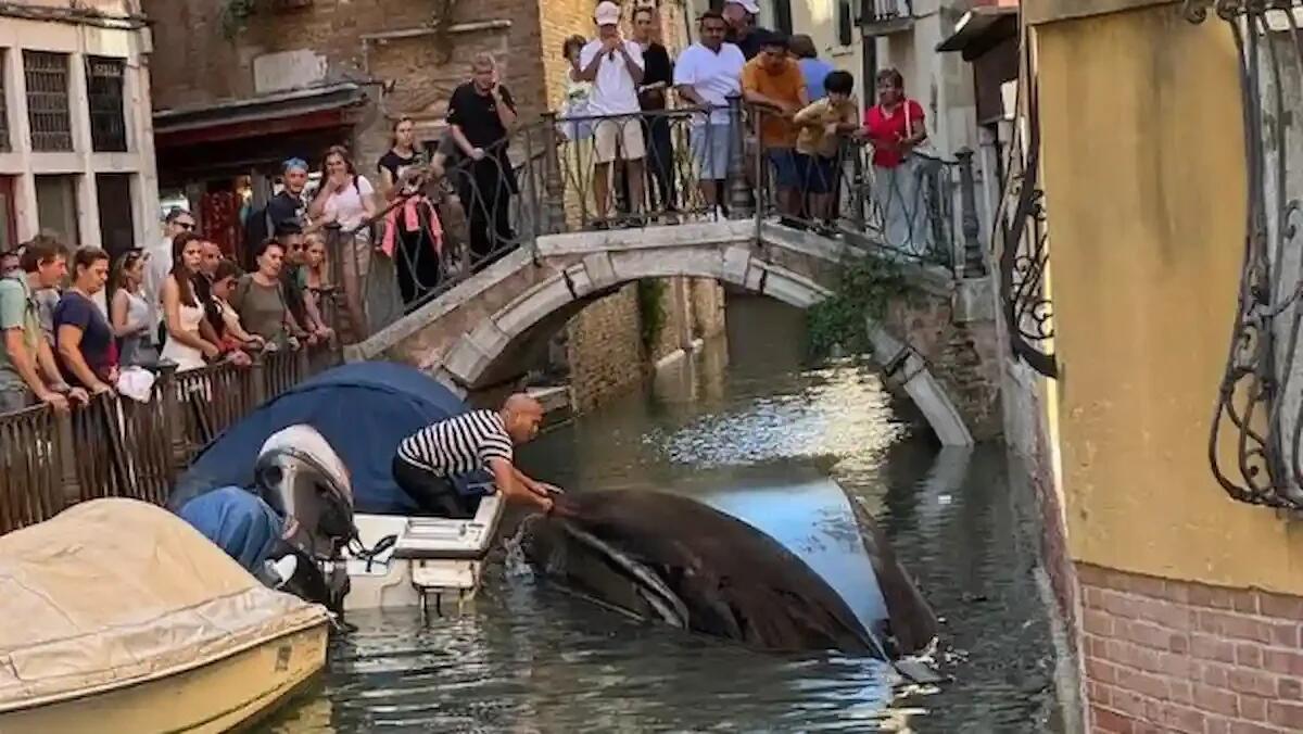 Venezia, la gondola si ribalta e i turisti finiscono il tour .. in acqua - 