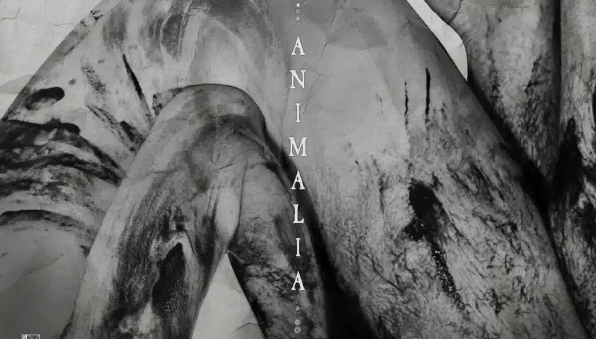 "Animalia", nuovo corto di Rocco Anelli come evento collaterale all'82ª Mostra del Cinema - 