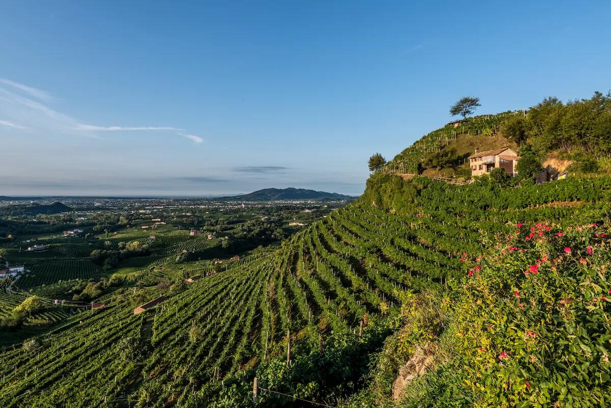 Degustazioni con vista a Valdobbiadene? Ecco un itinerario tra natura, storia e vino - 