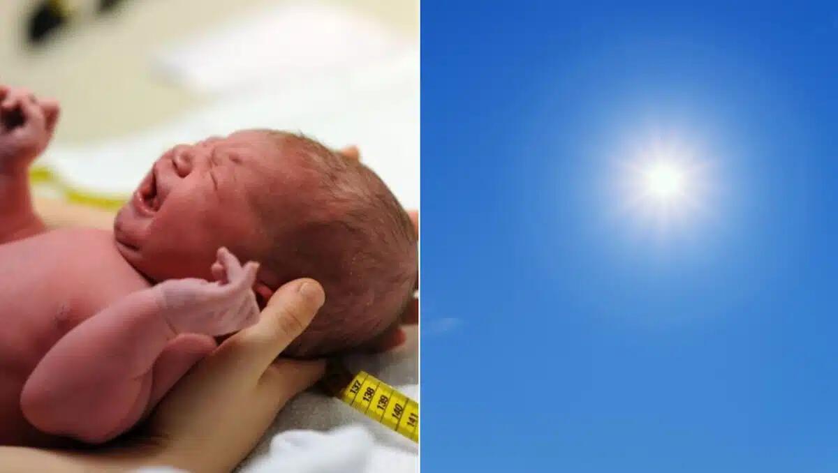 Lasciata per ore sotto il sole senza crema solare: neonata rischia di morire in spiaggia a Jesolo - 