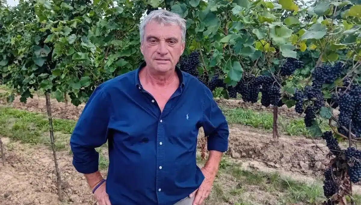 Agricoltura, 950mila euro per le polizze 2024: sostegno a 500 aziende - 