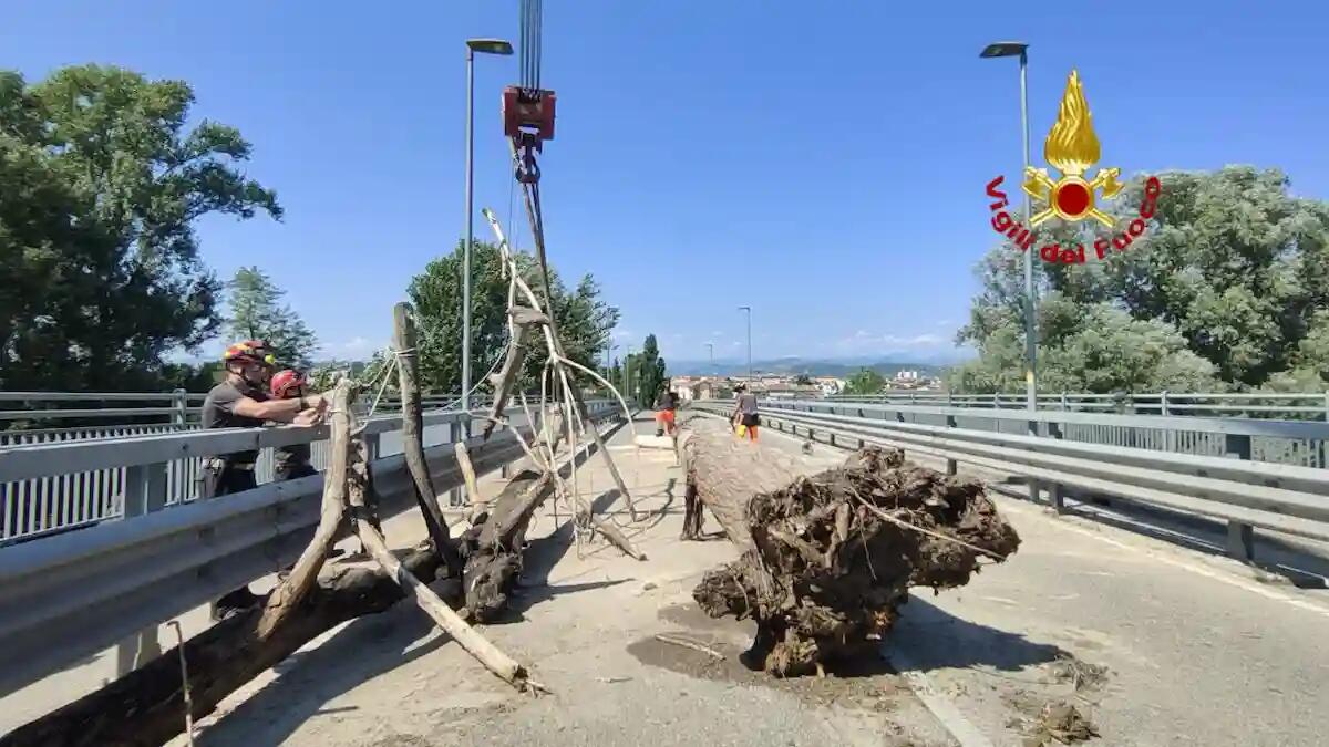 Verona, intervento SAF sul ponte Rumor: tronchi rimossi e chiusura al traffico per l'intera giornata - VIDEO - 