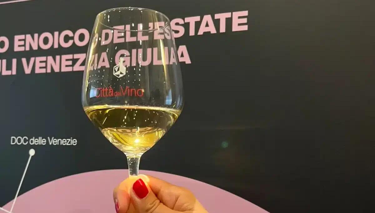 Musica, vini e sapori locali: "Le Notti del Vino" sbarca al Centro dei Magredi di San Quirino - 