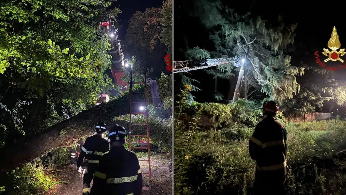 Maltempo in Fvg, il bollettino: «raffiche a 100 km/h e oltre 70 mm di pioggia. Attesi nuovi temporali» - 