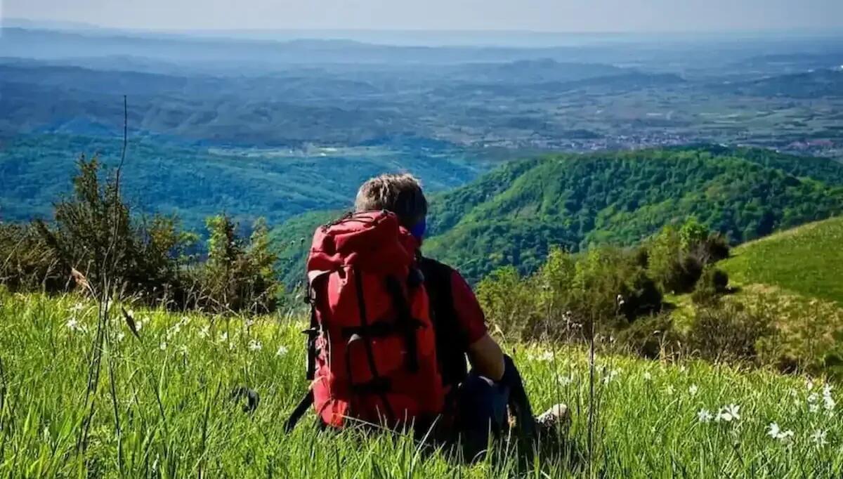 Piano Qualità dell’Aria 2025–2027, svolta per la filiera legno-energia - 