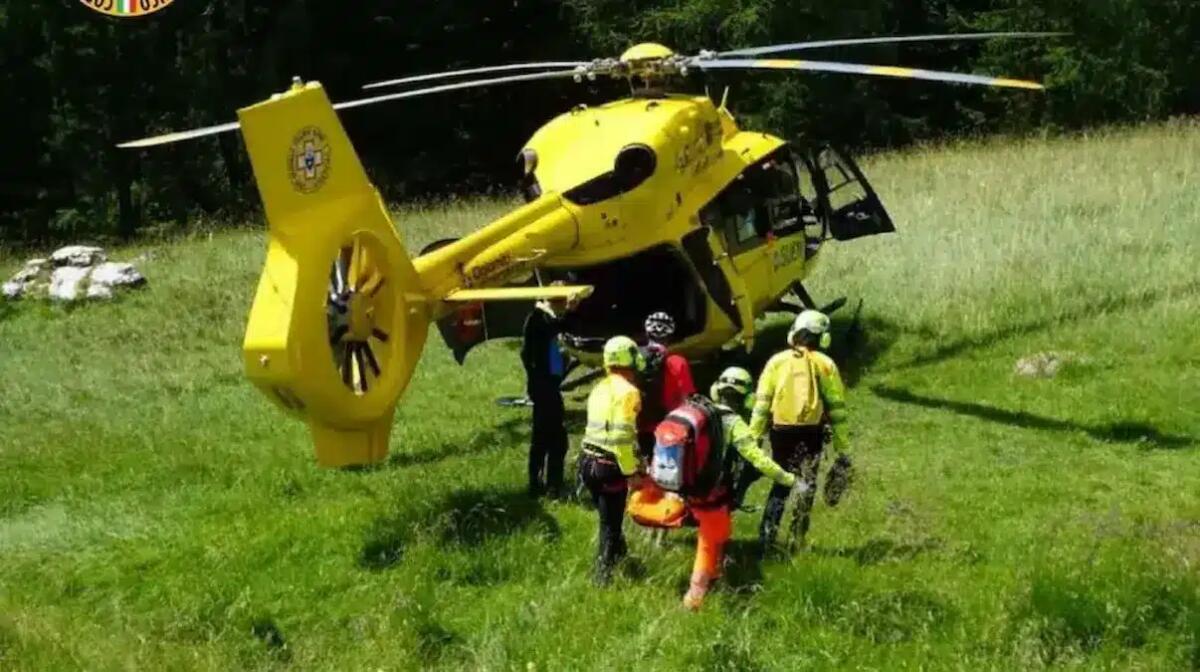 Albero gli crolla addosso mentre lavora nel bosco: 21enne elitrasportato in ospedale -