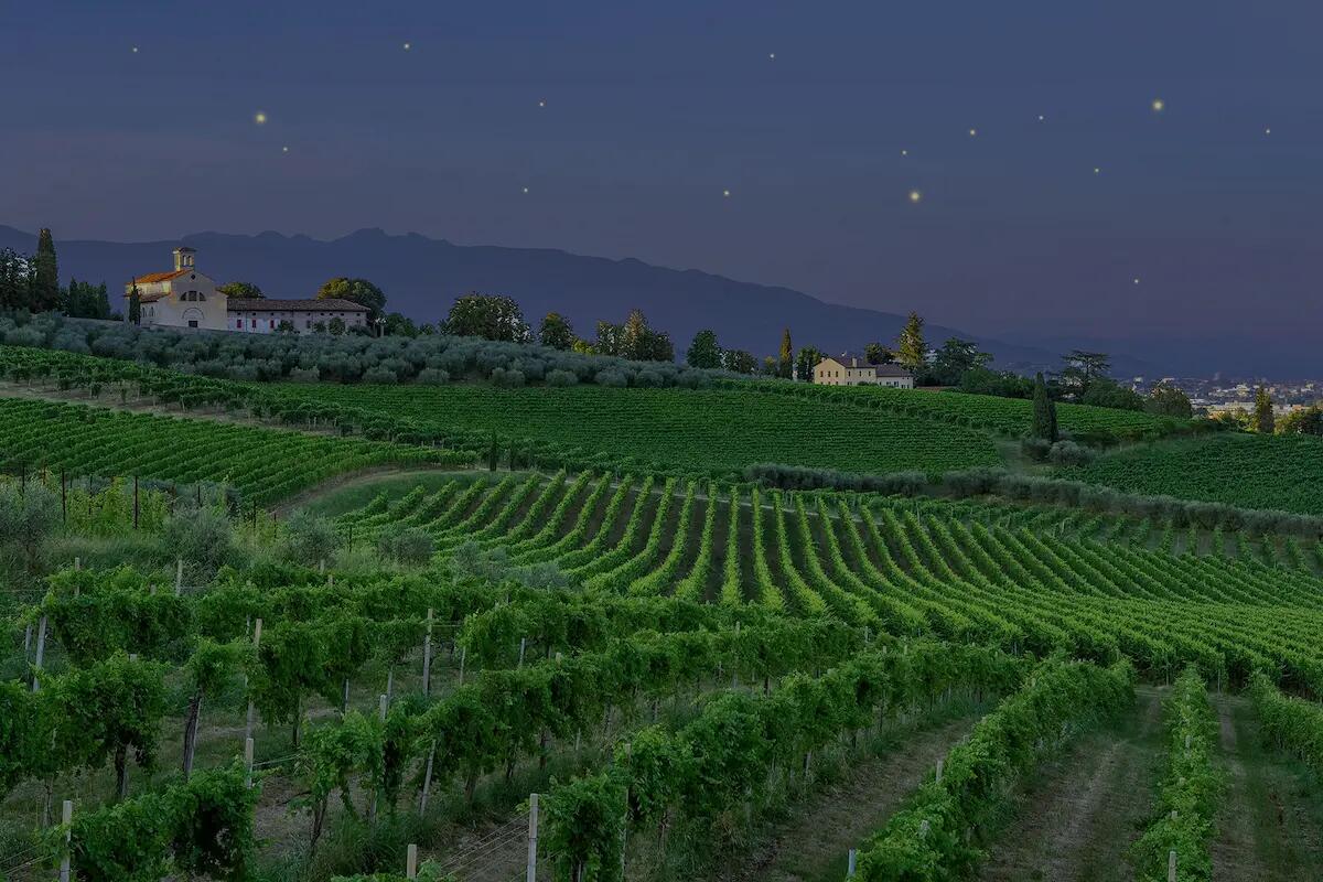 Hai mai cenato a Nordest tra le vigne sotto le stelle cadenti? Ecco dove farlo il 10 agosto - 