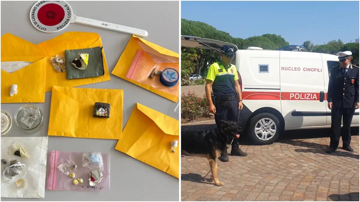 Hashish, marijuana e cocaina a Lignano. Denunce e cani antidroga: cosa è successo | VIDEO - 