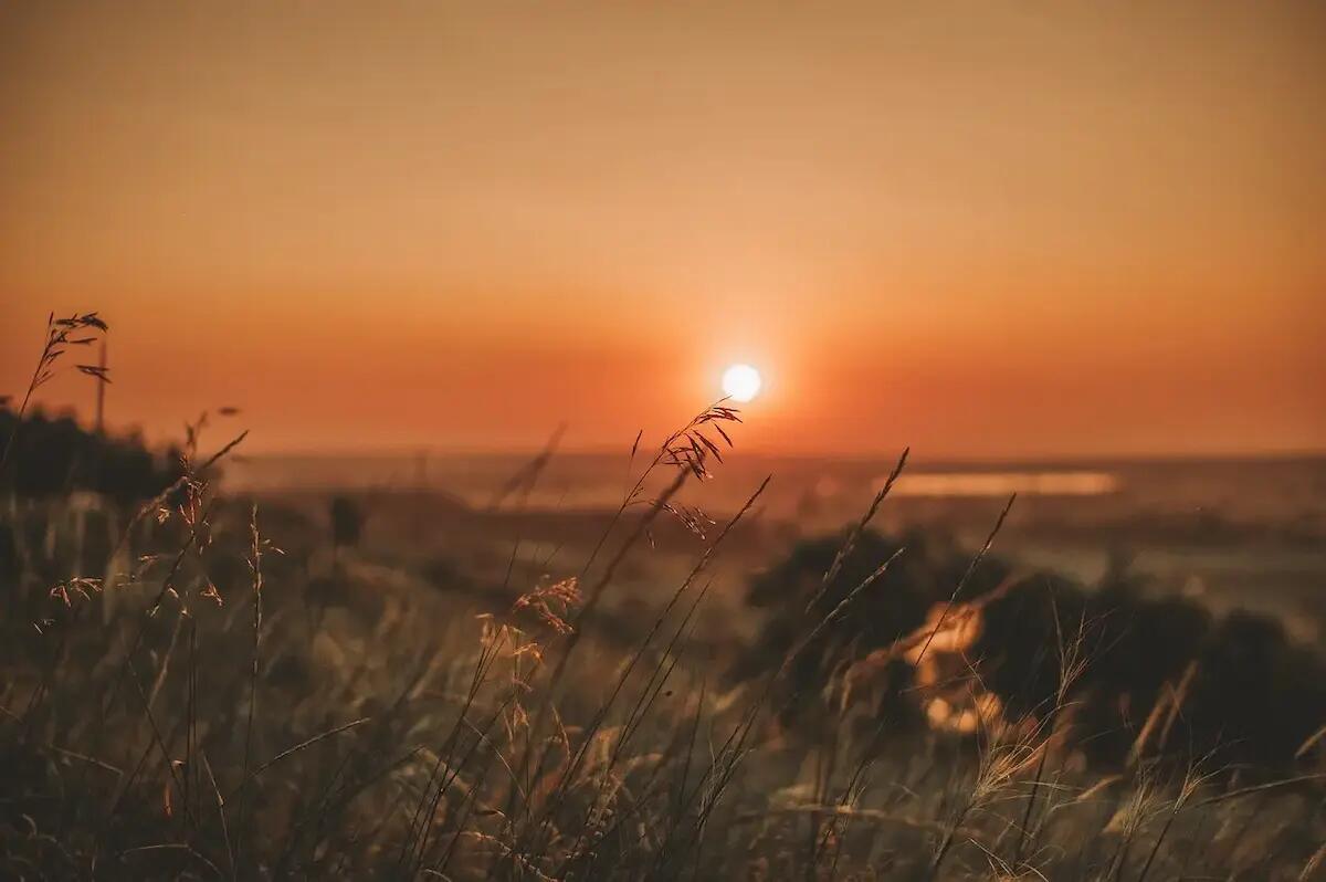 Ferragosto rovente in Veneto e Friuli: punte di 37 °C e rischio temporali. Le previsioni -