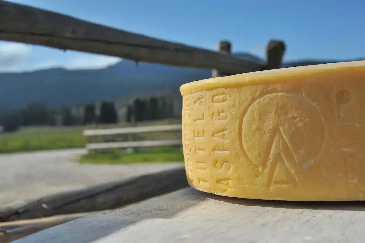 Asiago DOP, il formaggio di montagna che conquista i Millennials con turismo e degustazioni -