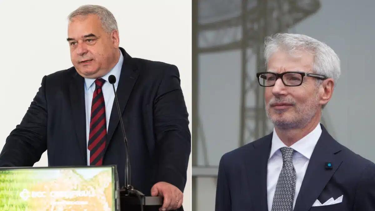 CrediFriuli: semestre record tra utile, nuovi clienti e mutui green. Ecco tutti i numeri -
