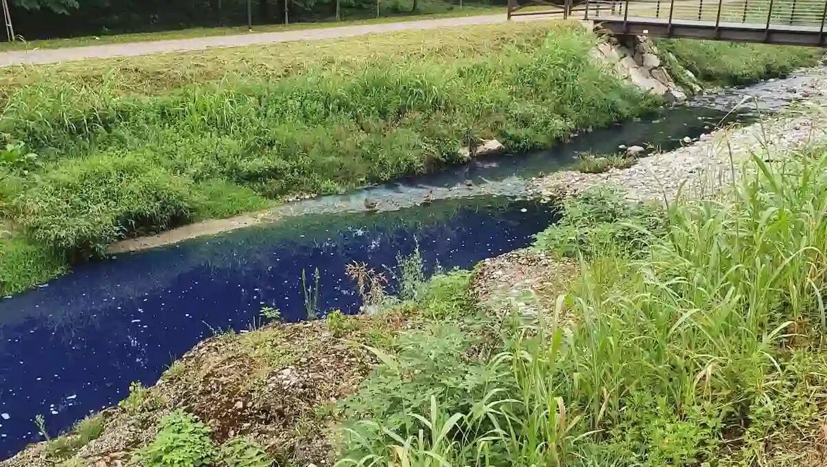 Allarme a Gorizia, sversamento di vernice blu nel Corno: è biodegradabile, analisi in corso dell'Arpa - 