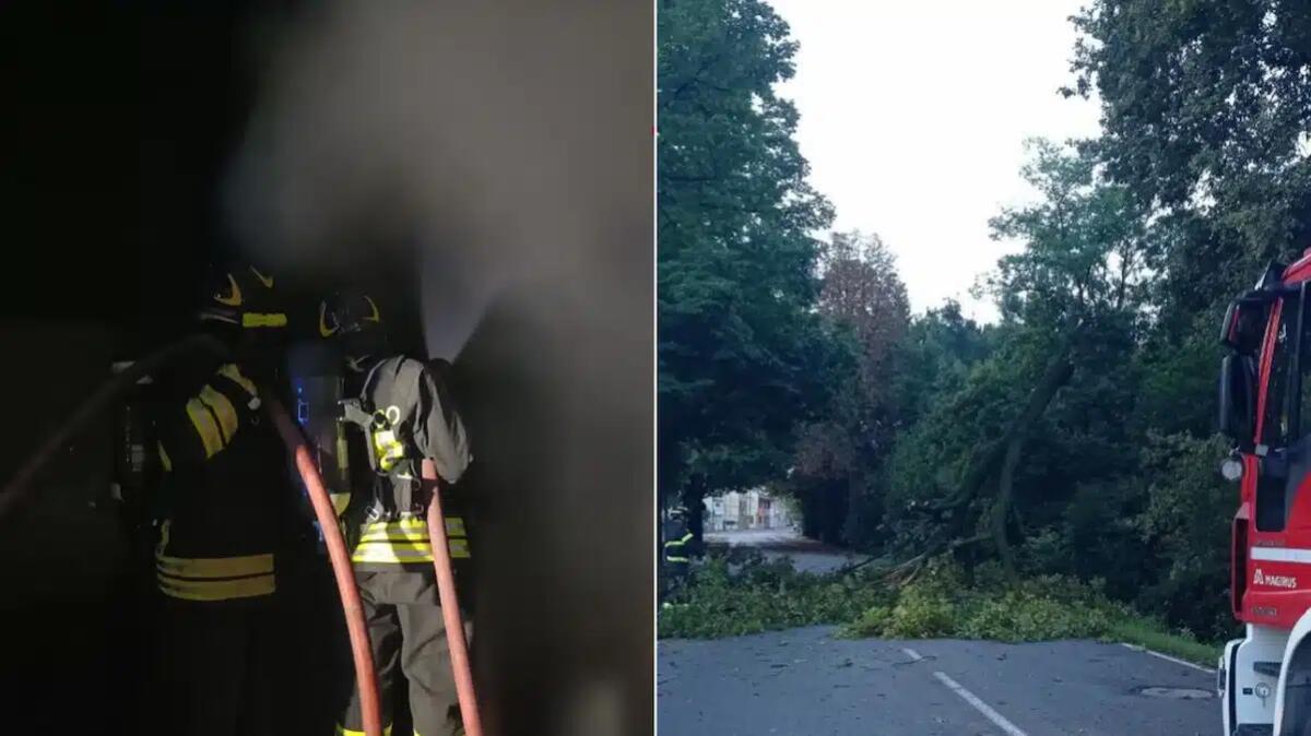 Incendio in un capannone e crollo di un grosso albero sulla strada: doppia emergenza a Pordenone - 