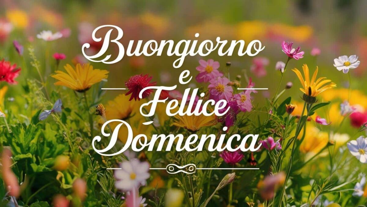 Buongiorno Domenica 17 Agosto 2025: frasi e immagini di Buona Giornata -