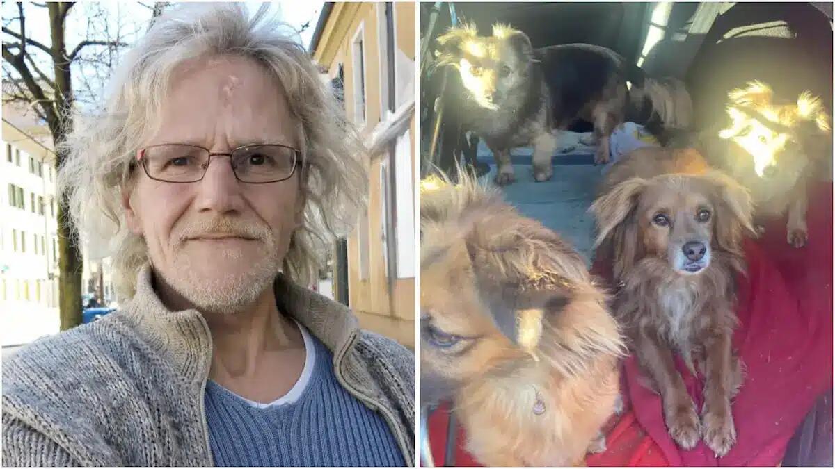 Viveva in auto con i suoi cinque cani pur di non abbandonarli: Danilo è morto a 59 anni -