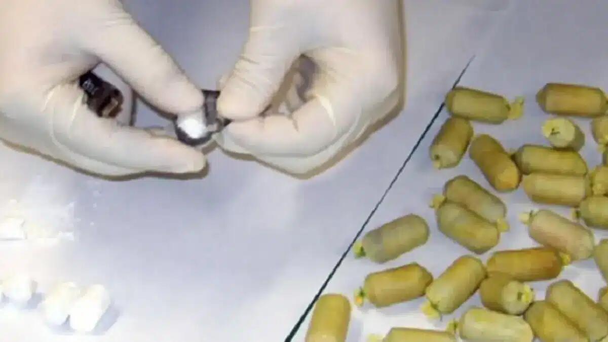 Blitz antidroga a Mezzolombardo, sequestrati 65 ovuli di cocaina: nascosti nei muri a secco in campagna - 