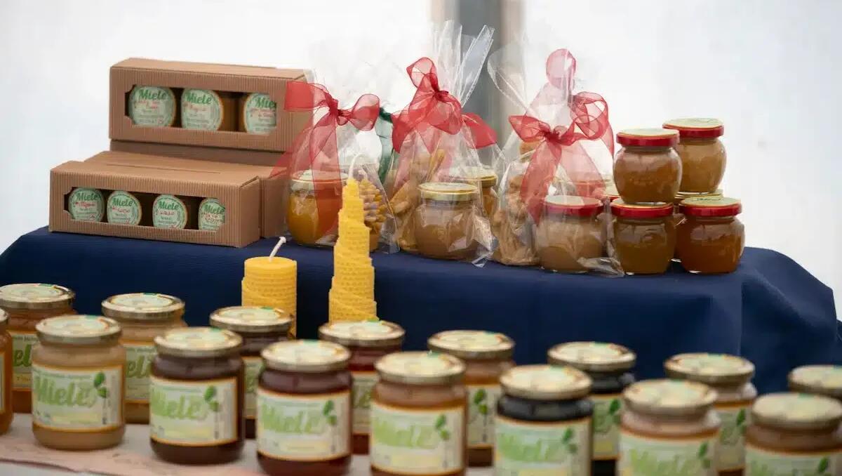Pradis, una domenica tra sapori e natura: formaggi, miele e laboratori con DiCa’ - 
