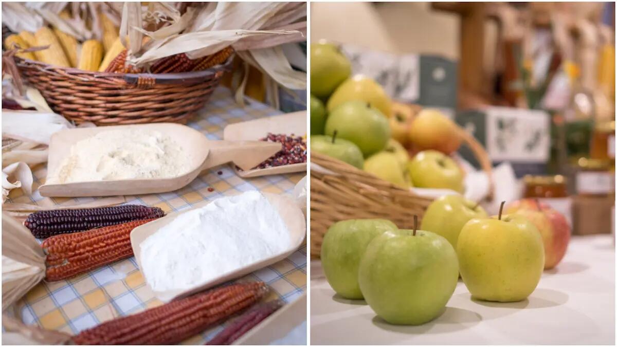 Scoprire i sapori delle Prealpi Friulane: una domenica tra frutteti, visite e mercato per tutta la famiglia -