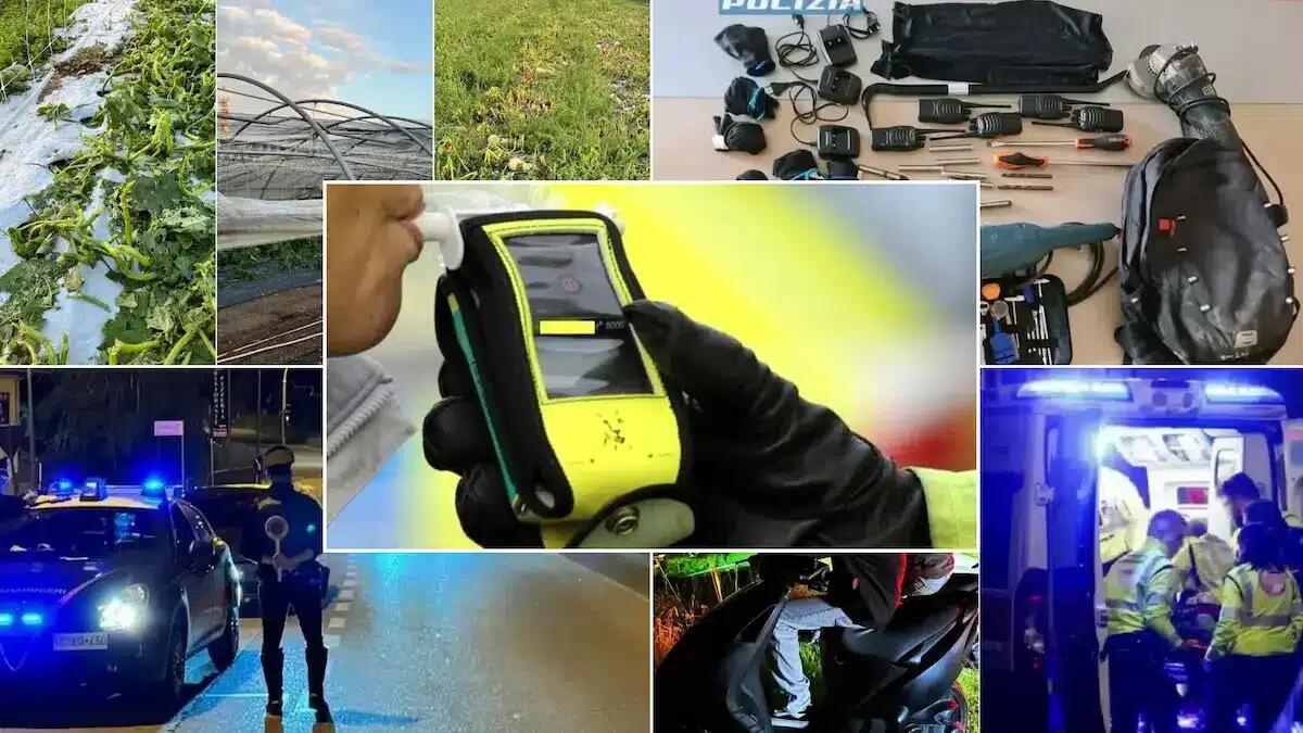 Le notizie a Nordest più lette del giorno: sbalzata dall’auto, rapina, patenti ritirate e colture distrutte - 
