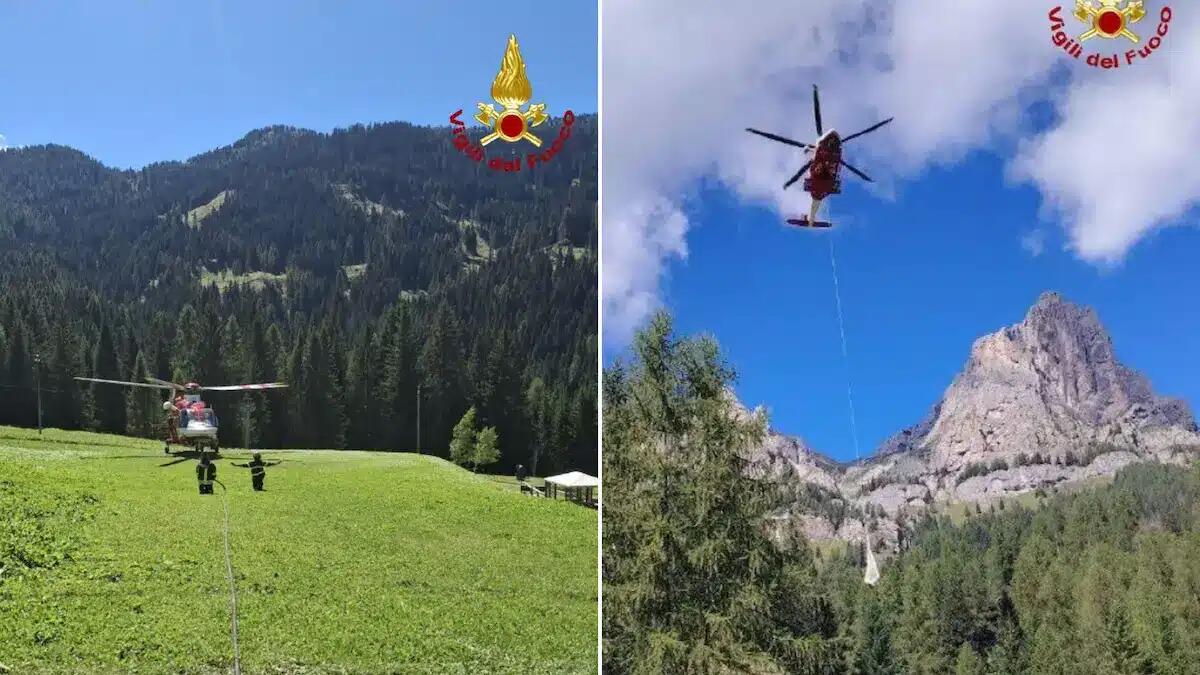 Bovino caduto in zona impervia, recupero spettacolare: salvato con l’elicottero Drago - 