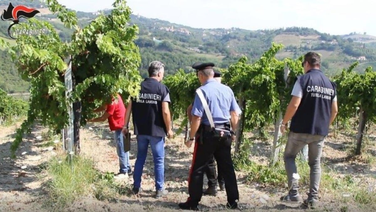 Scoperti otto lavoratori in nero nel Pordenonese: sospese sei attività, sanzioni salate - 