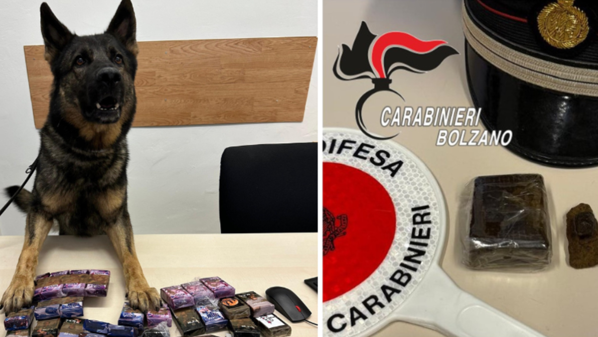 Chip scopre 60 grammi di hashish: nascosti nel contatore Enel del condominio - 