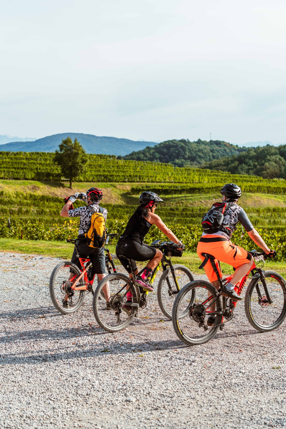 FVG Bike Trail, che successo: ecco tutti i numeri della cicloturistica - 