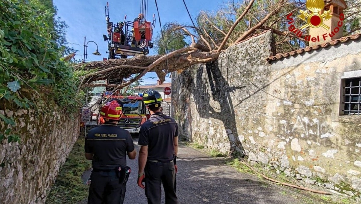 Maltempo in Friuli di ieri, giornata di lavoro senza sosta per i Vigili del fuoco. Gli aggiornamenti - 