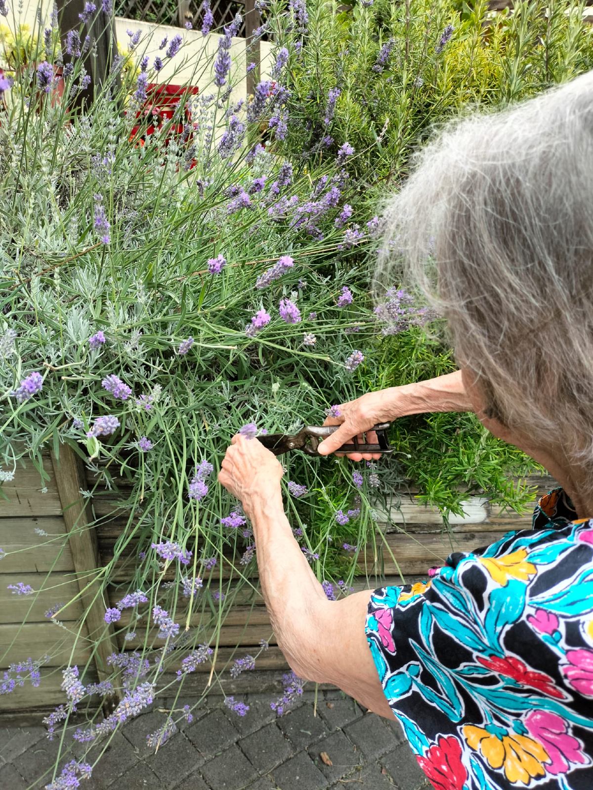 Friuli Venezia Giulia, 27 centri diurni per anziani non autosufficienti: 11 dedicati alle demenze -