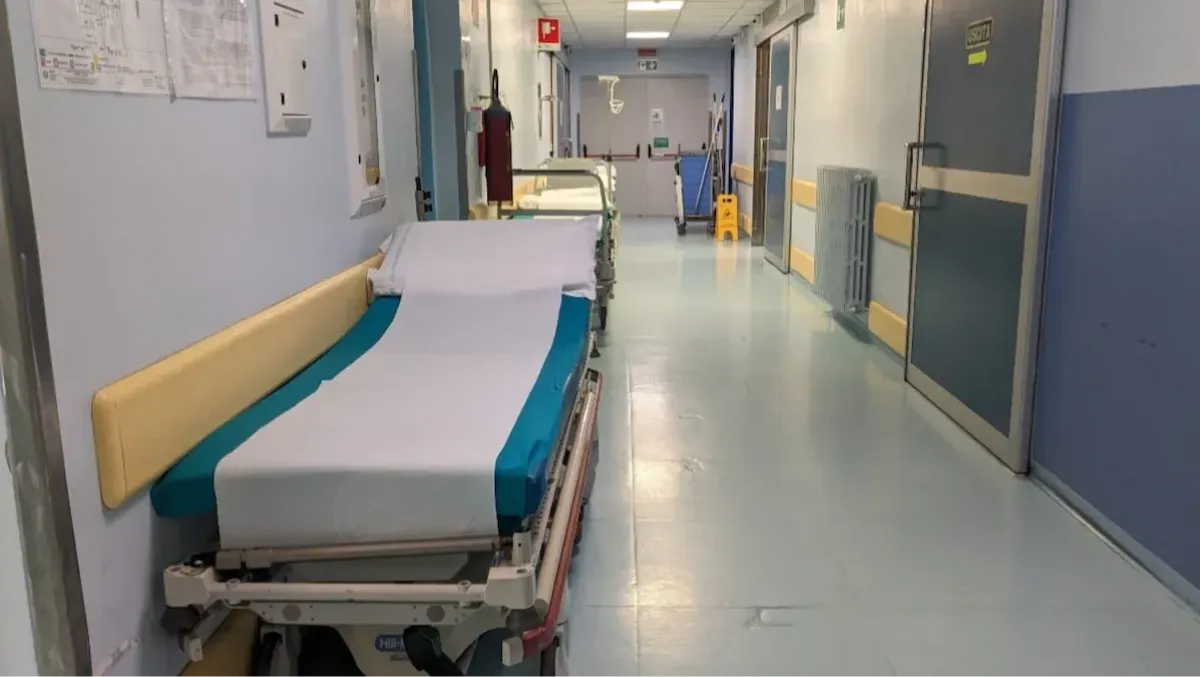 Mal di testa e febbre alta: bambina di 3 anni ricoverata per virus West Nile -