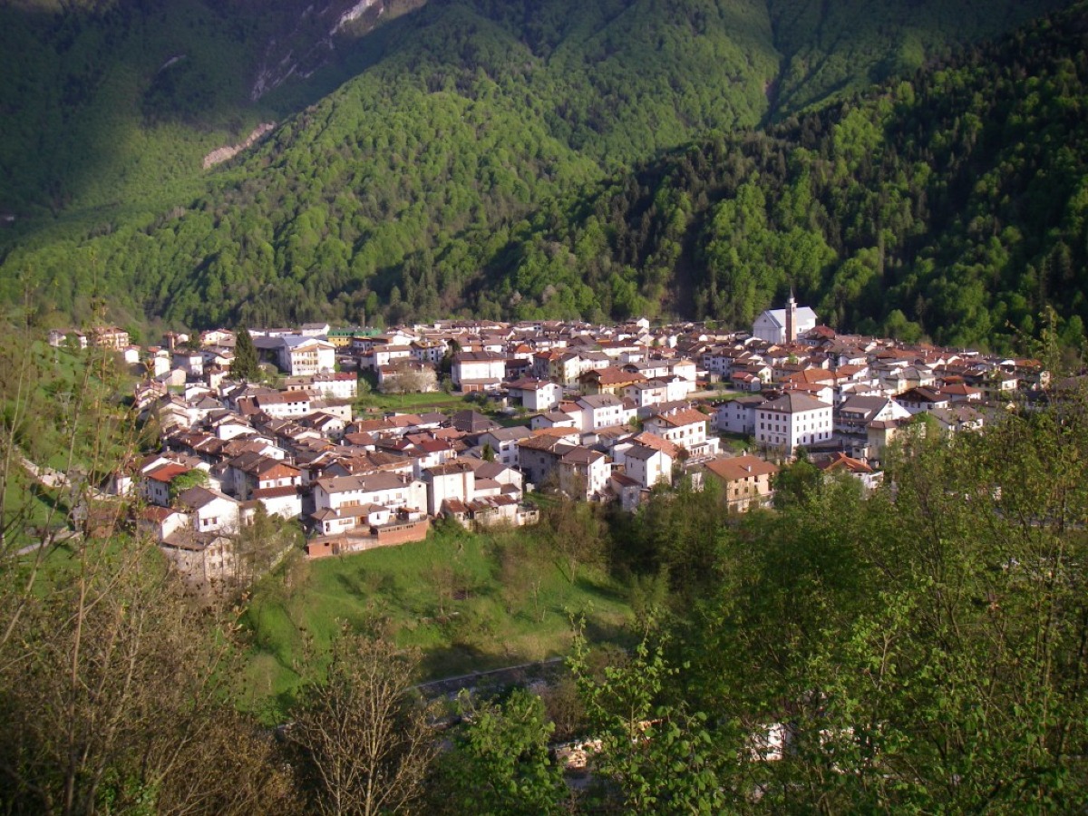 Sostegno a genitori e studenti a Claut: contributi per natalità, libri, trasporti e mensa -
