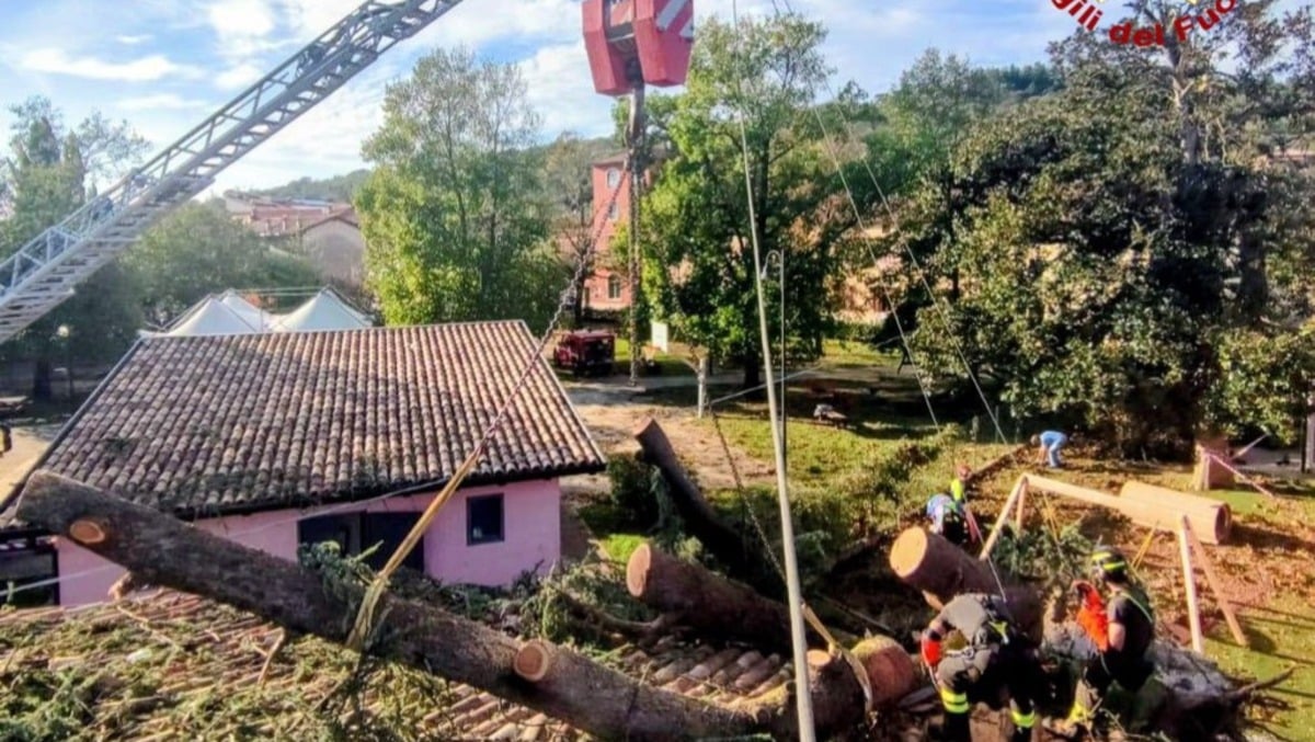 Maltempo nel Goriziano: oltre 100 interventi portati a termine dai Vigili del Fuoco -