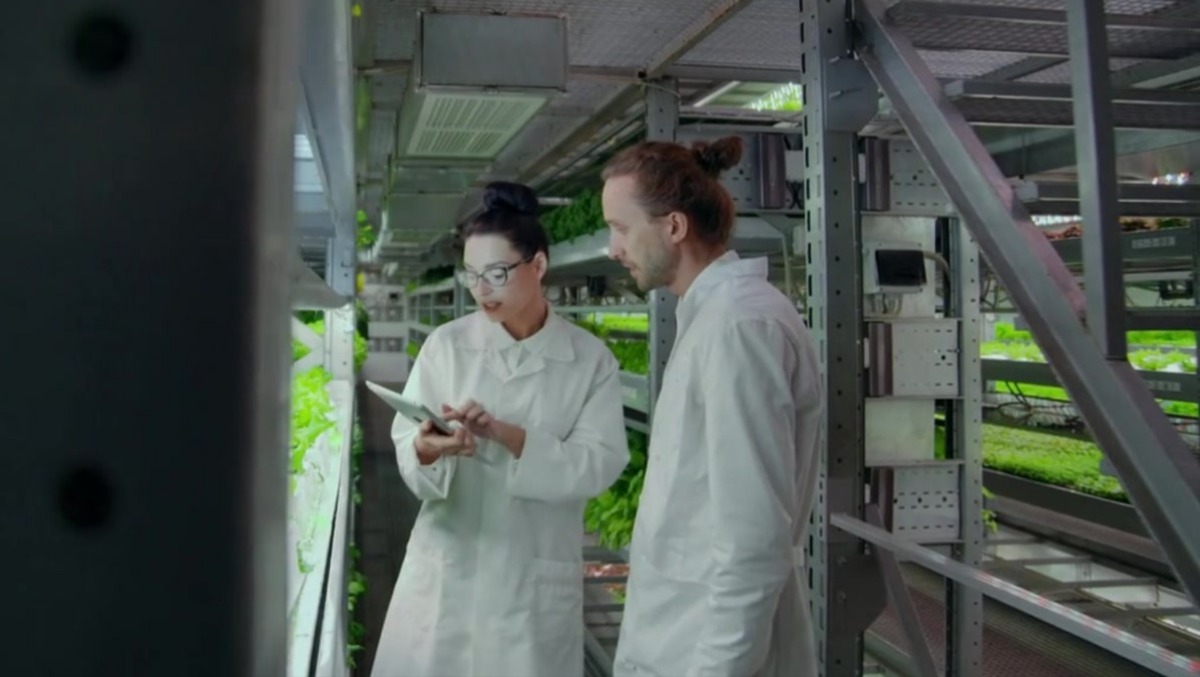 Verona lancia Foodtech Incubator: ricerca e startup agroalimentari unite per il futuro - 