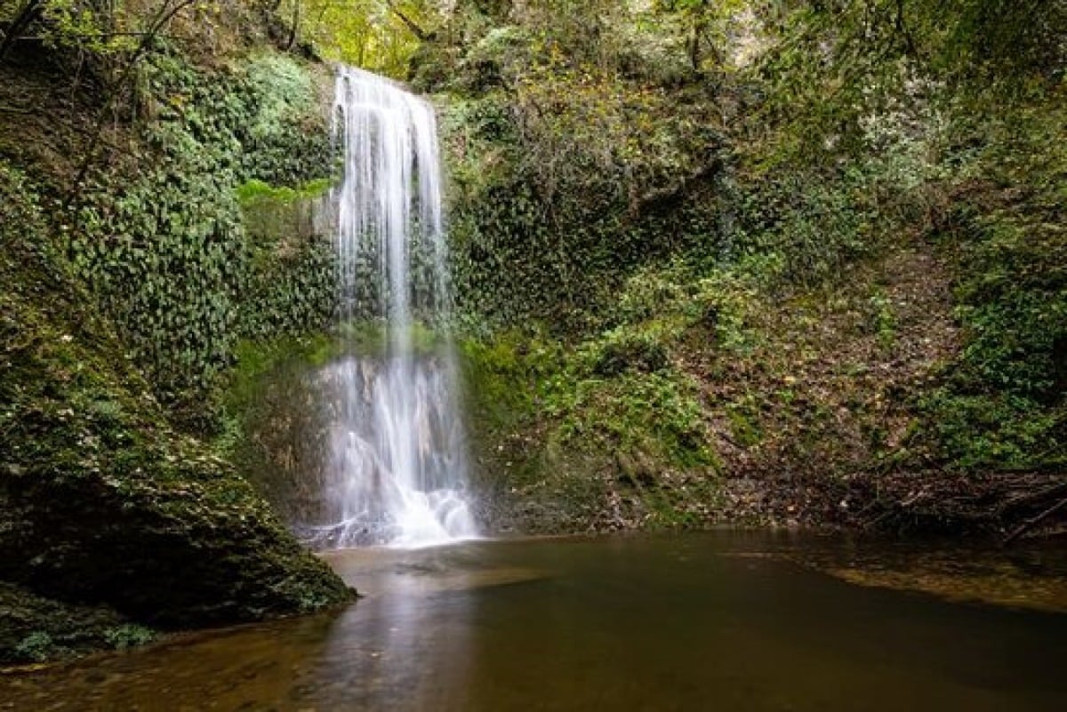 In Friuli un'escursione tra cascate e natura tropicale al Biotopo dell’acqua caduta - 