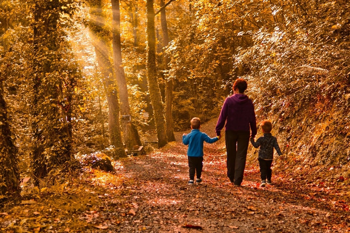 5 passeggiate facili in Veneto ad ottobre: natura, storia e colori d’autunno - 