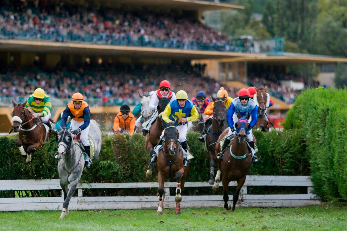 Ippica, Gran Premio Merano Alto Adige 2025: attesi oltre 10mila spettatori da tutta Europa - 