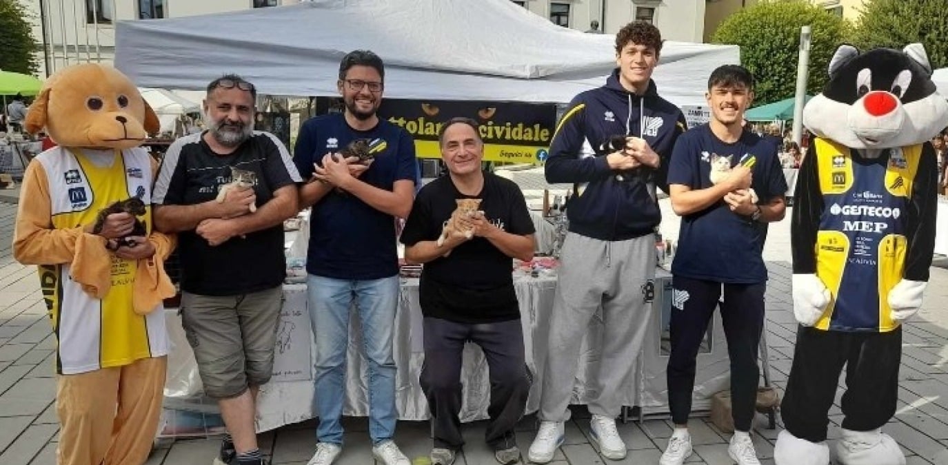 Basket e solidarietà a Cividale: Ueb Gesteco in campo in favore dei cani e gatti -
