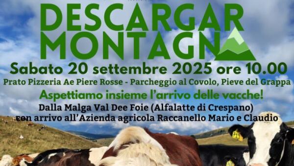 Descargar Montagna: Pieve del Grappa celebra la tradizione con l’arrivo delle vacche dagli alpeggi