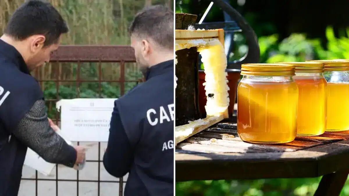 Miele venduto come "Biologico" ma arrivava dalla Romania e l'etichetta era falsa: maxi sequestro - 
