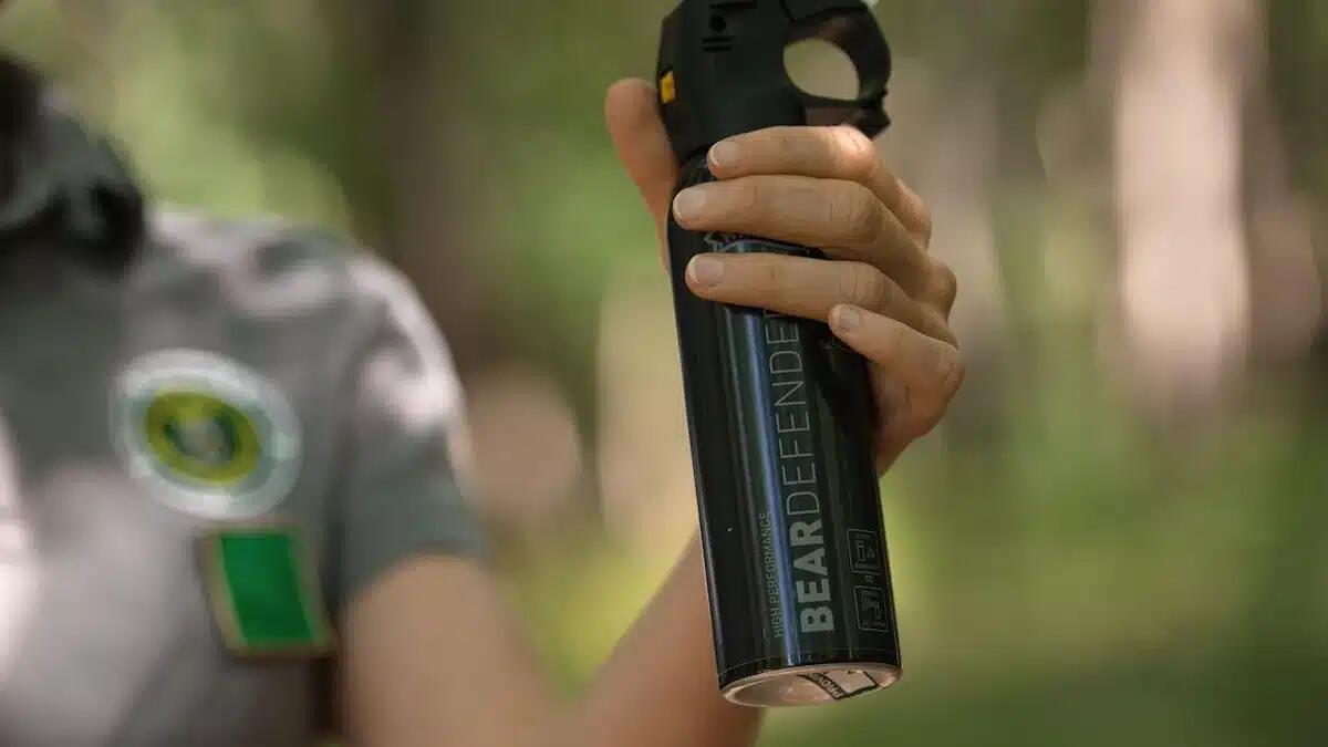 Spray anti-orso diventa legge: chi potrà usarlo -