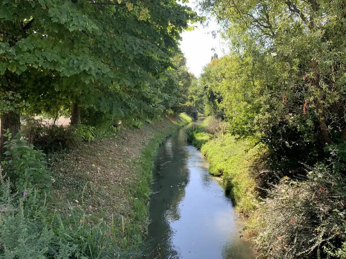10mila passi tra Pavia e Lauzacco? Ecco la passeggiata speciale di settembre -