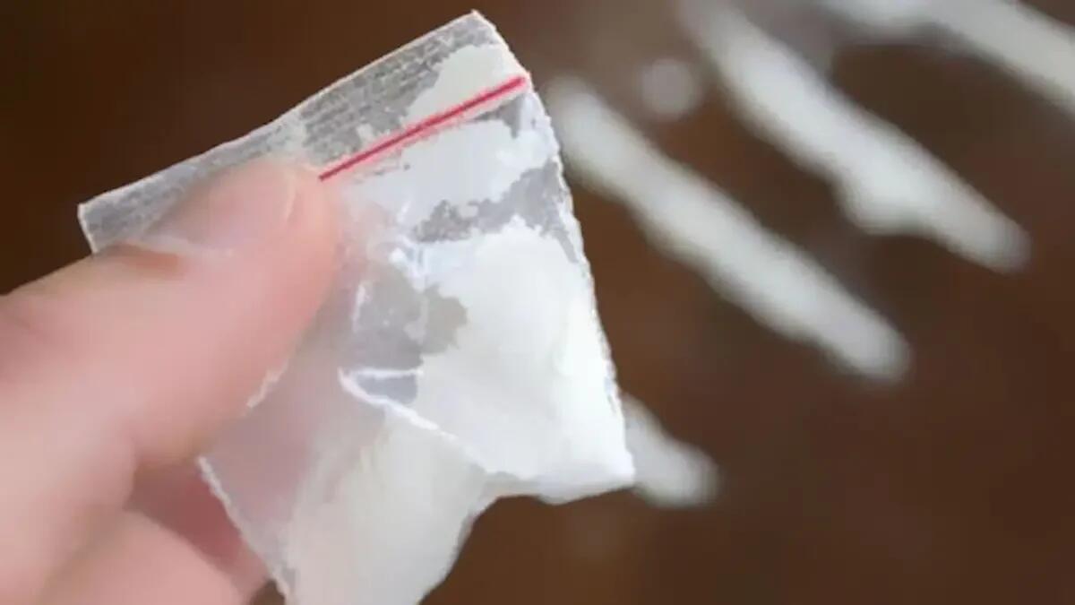 Allarme spaccio a Bolzano, fermato al parco un pusher con oltre 100 dosi: arrestato - 