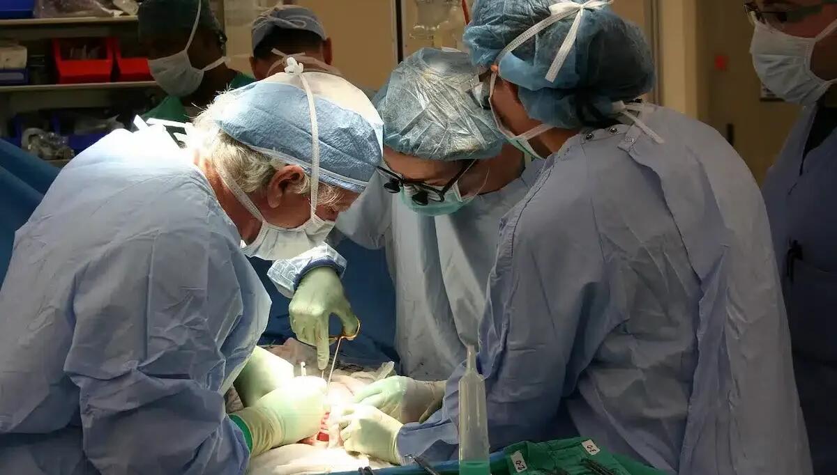 Padova, impiantato su un bambino il primo pacemaker cranico in Italia per la cura dell'epilessia - 