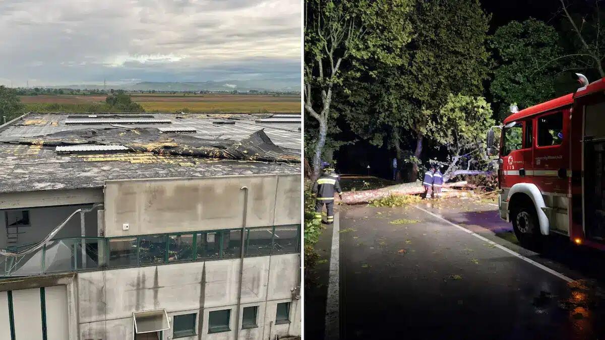 Danni da maltempo nella notte nel Vicentino: «già 64 gli interventi dei Vigili del Fuoco» - 