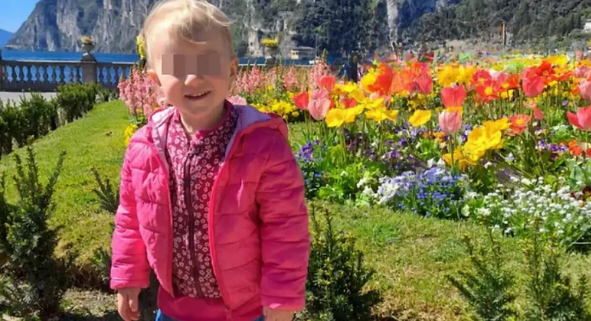 "Sembrava un virus intestinale durante una vacanza, ma poi è entrata in coma": la storia della piccola Elena - 