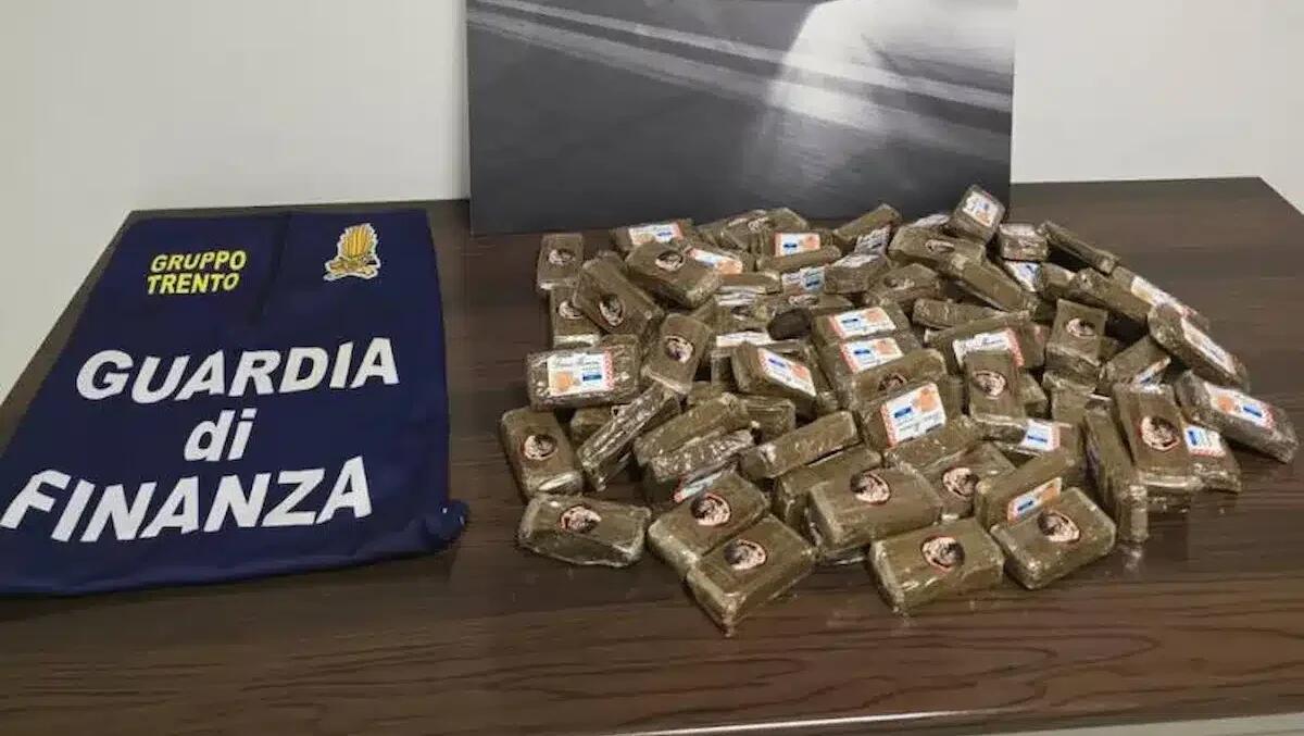 Ritrovati 85 panetti di droga sotto la vegetazione: sequestro record delle Fiamme Gialle - 