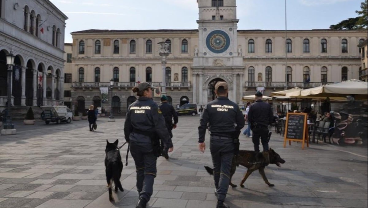 Lavoro nero, droga, violazioni: i numeri delle operazioni estive delle Fiamme Gialle di Padova - 