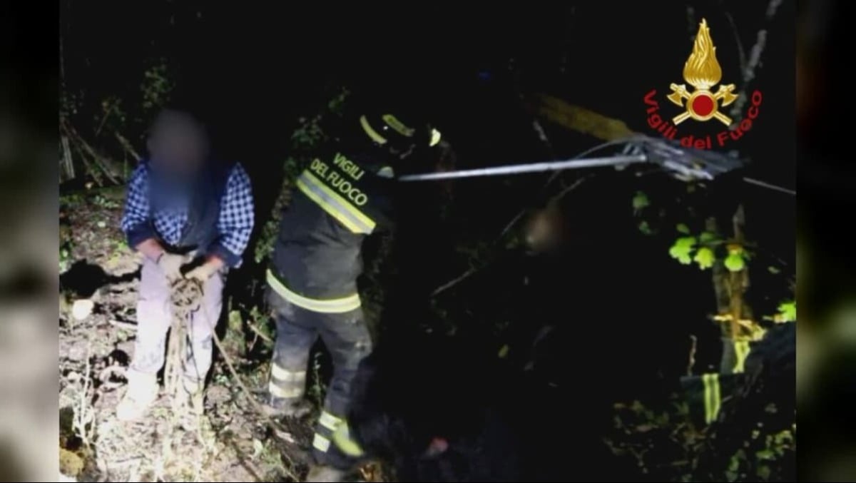 Precipita per 10 metri, intrappolata nel fango: asinella salvata dai Vigili del fuoco - 