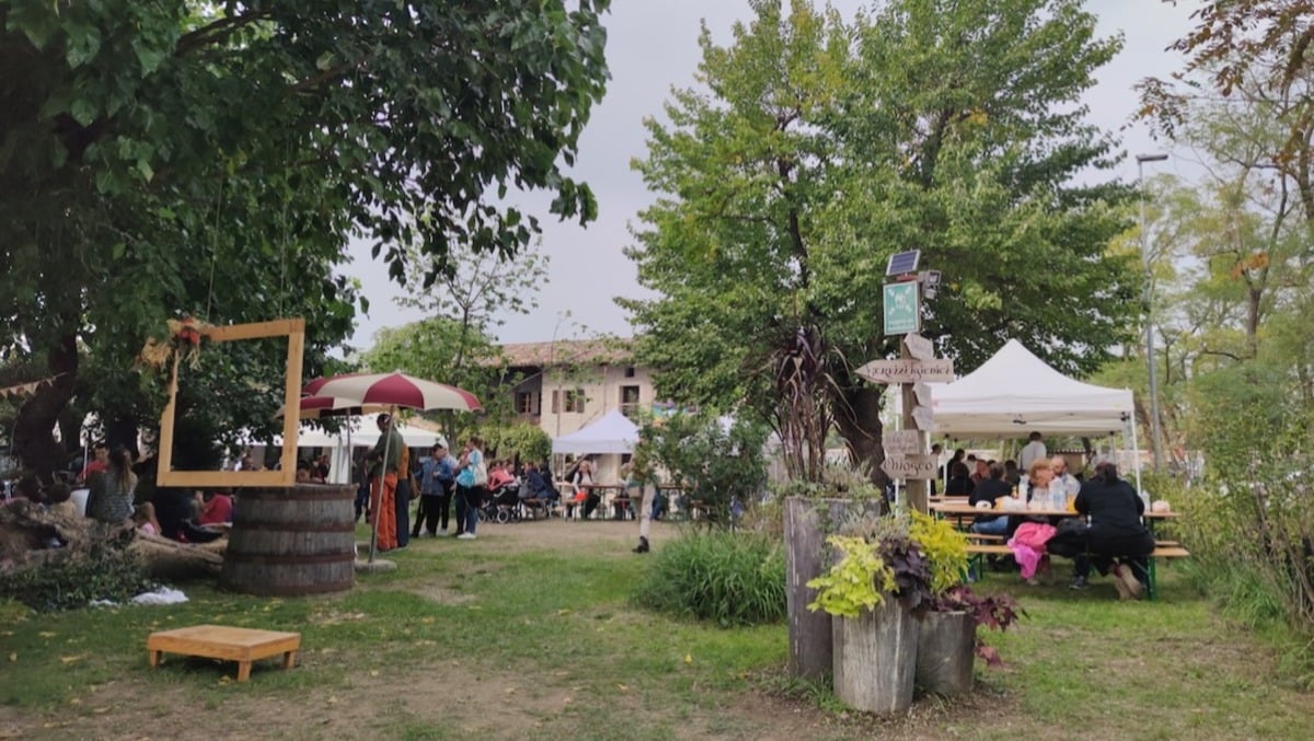 Festa della Zucca a San Vito: laboratori, spettacoli e sapori d’autunno - 